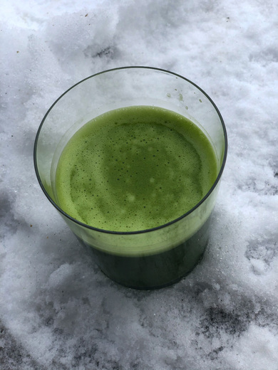 zelený čaj - obsah látek